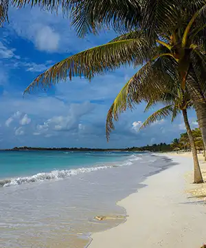 Renta_camionetas_con_chofer_ciudad_de_mexico_viejes_a_Playa cel carmen